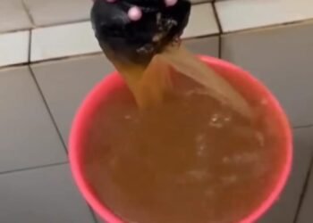 Suka Duka Pelanggan PDAM Tarakan yang Kerap Membayar Air Keruh