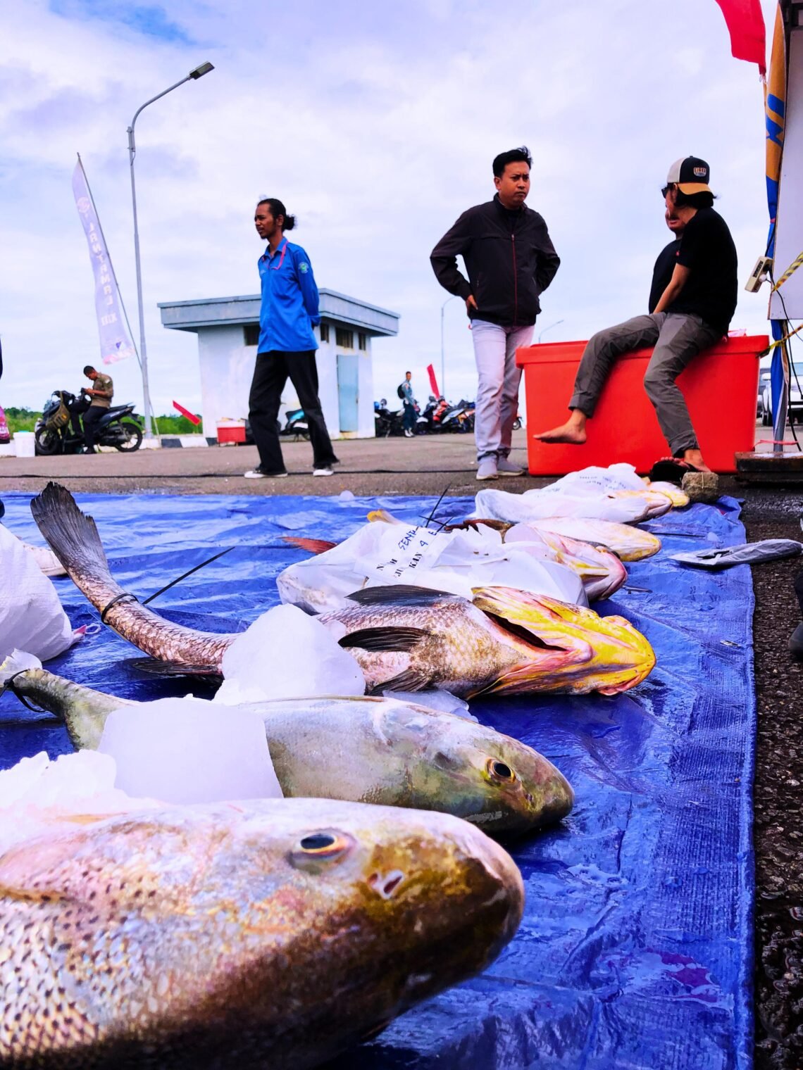 Laut Tarakan Jadi Saksi Turnamen Mancing Terbesar di Kaltara