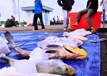 Laut Tarakan Jadi Saksi Turnamen Mancing Terbesar di Kaltara