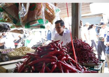 Usai Tinjau Sembako di Pasar Jelang Nataru, Bupati Nunukan: Tak Perlu Khawatir