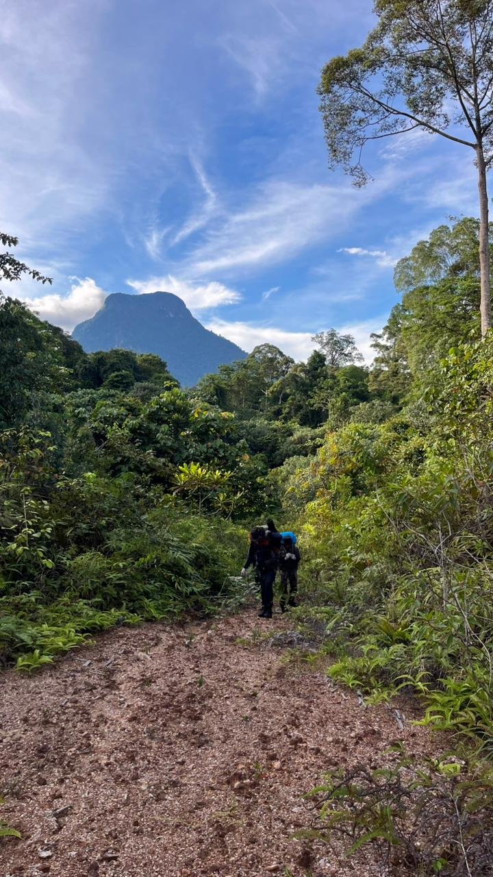 Kisah 8 Pemuda Tarakan yang Berhasil Puncaki Atap Kaltara: Gunung Kundas