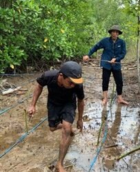 Jaga Ekosistem Pesisir, AKFF Tarakan dan Pertamina EP Bunyu Field Gelar Monitoring Mangrove Tahap 2 di KKMK